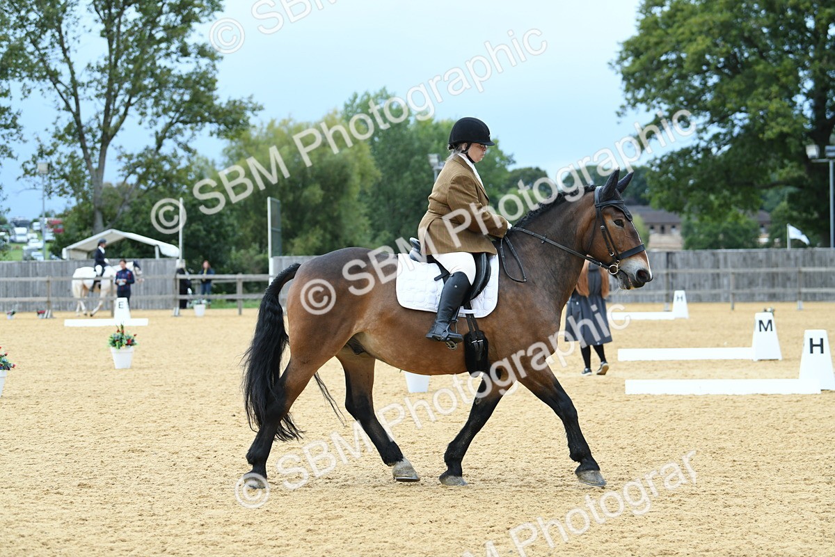 SBM_10015 - D15 Small Tour Championship Novice 24