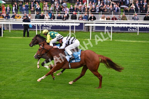 yr07102022r1-21 - Race 1 2.05pm Parsonage Hotel and Cloisters Spa Stakes