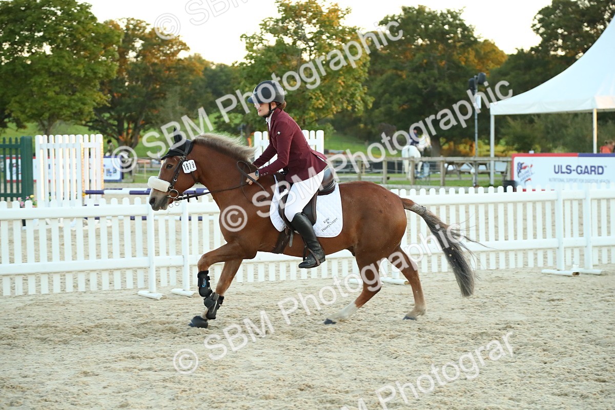 SBM_56918 - Supreme Championship - PM