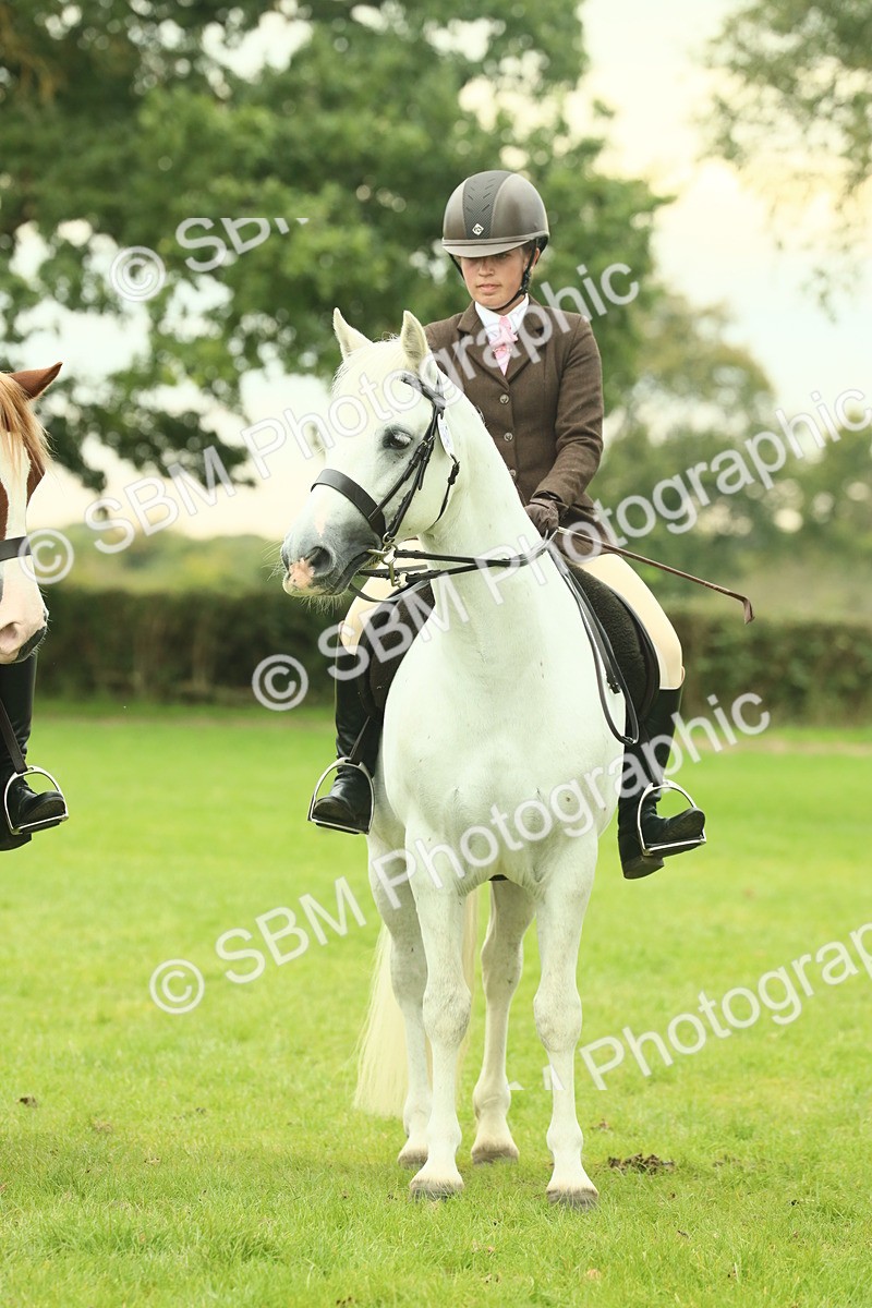 SBM_72195 - S60 - Mountain & Moorland Ridden Large Breeds