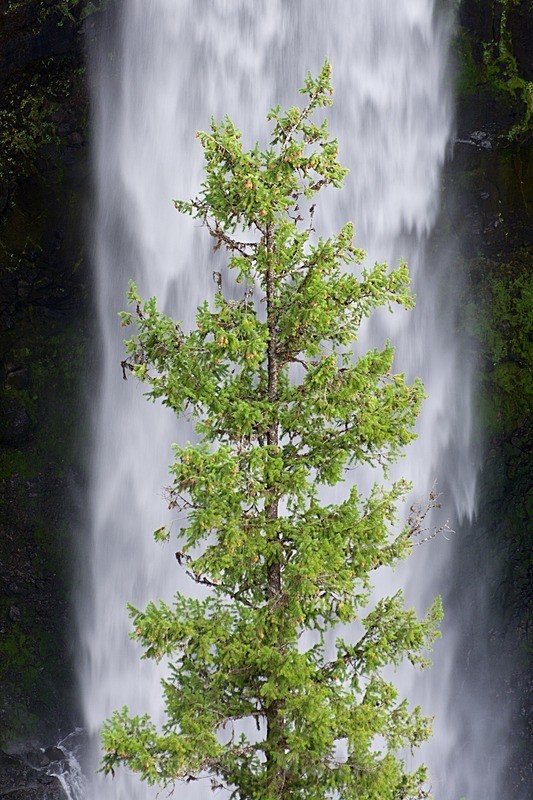  - Canada West Coast