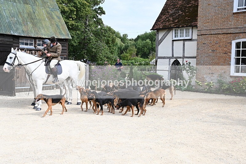 WJ6_3443 - Berks & Bucks - The Old farmhouse - Hound Exercise 20-08-25