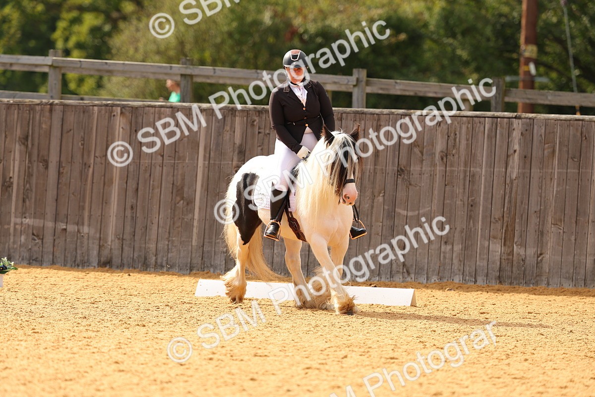 SBM_47437 - D6 - Small Tour Championship - Intro C