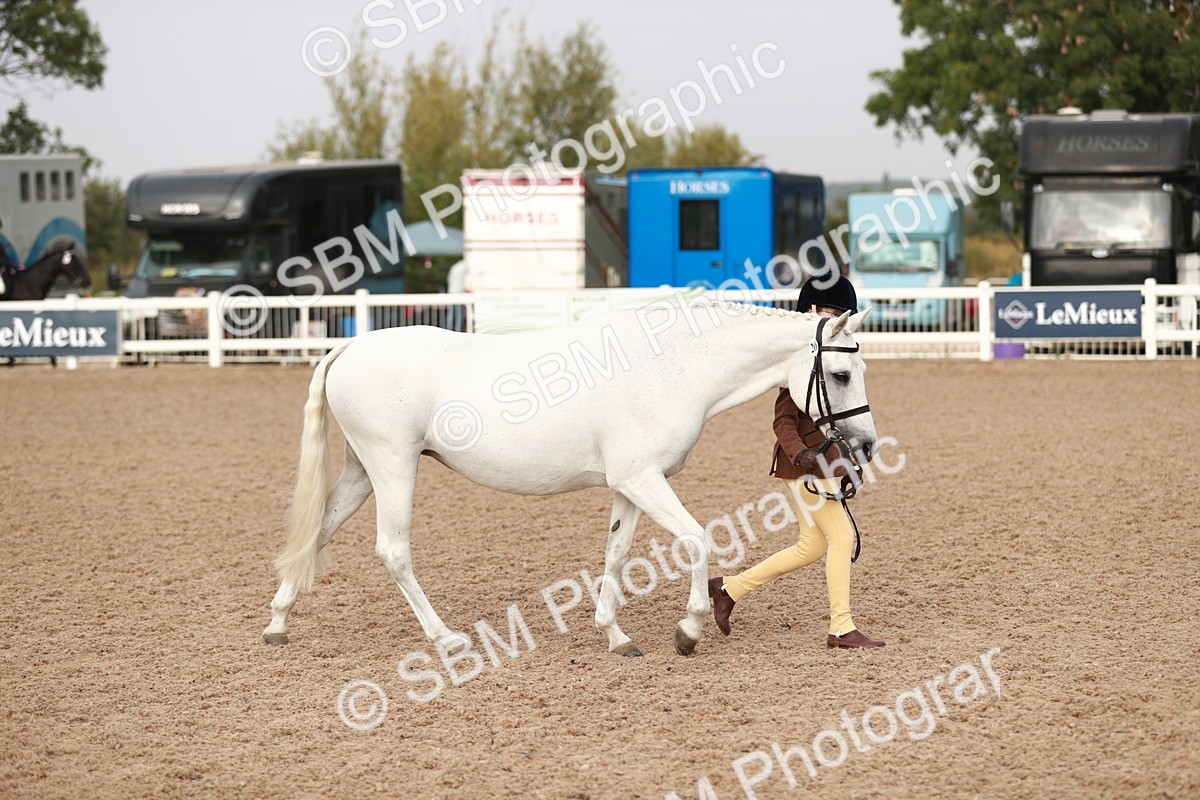 SBM_09836 - Class 203 Young Handler, 10 years and under