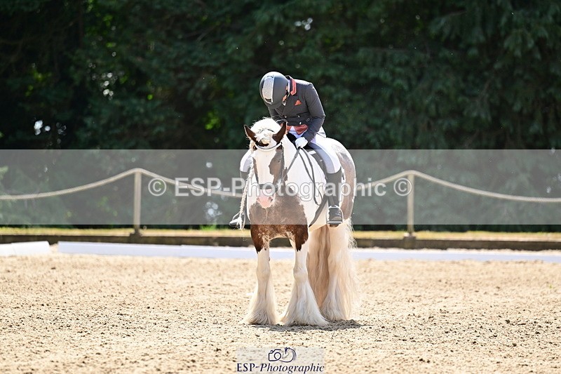 260802A-123647-06305 - Novice Silver break- end
