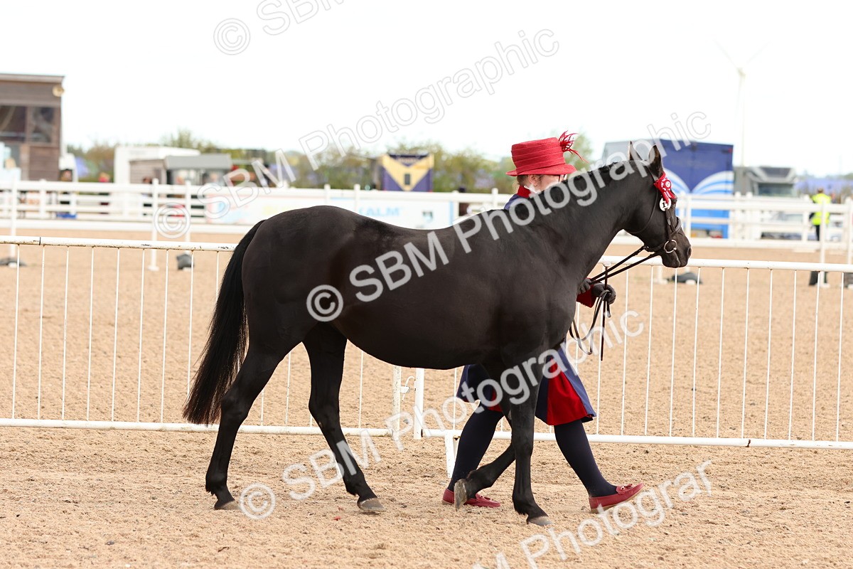 SBM_10174