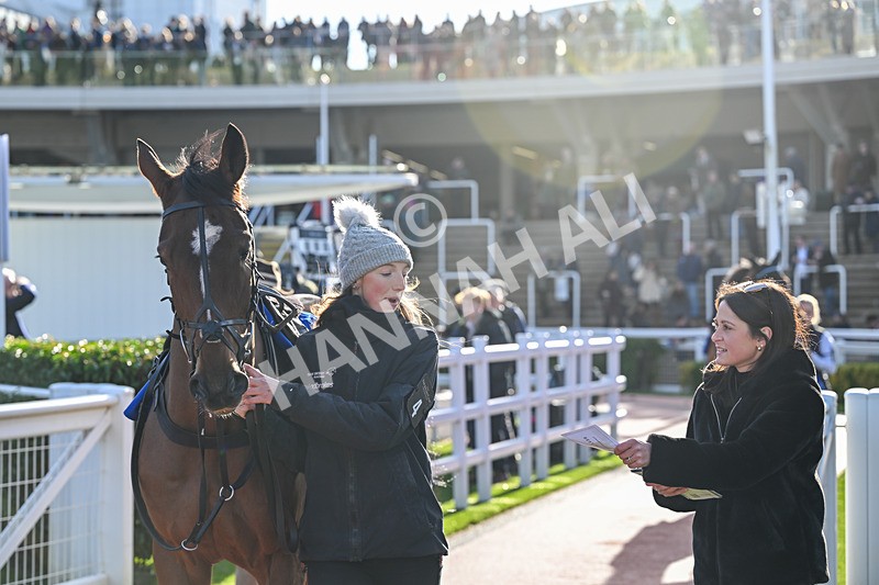 251025-Race 5-Loriko-9398 - Race 5