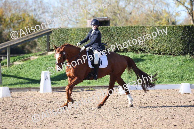 20251102-0541 - Class 3 - Novice 5