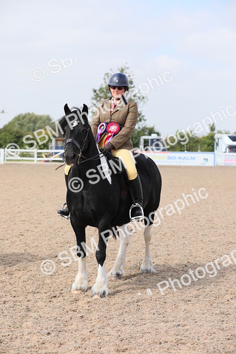 SBM_12868 - Class 307 Ridden Coloured Pony
