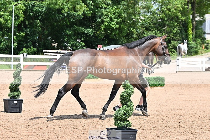 240718A-105313-01725 - Trot Up 1pm to 2pm