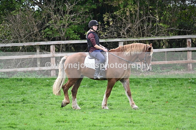 WJ7_9566 - Time 12:55 to 13:13