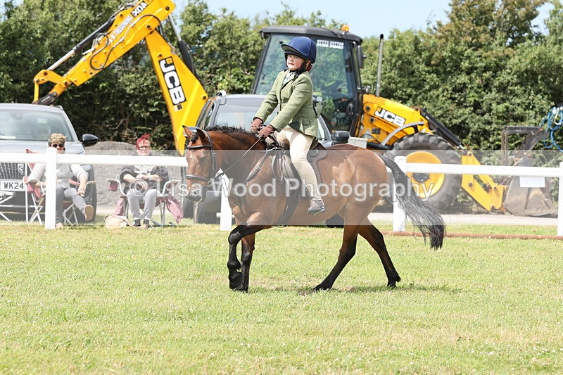 JPP_1947 - Class 18: Tiny Tots Working Hunter Pony