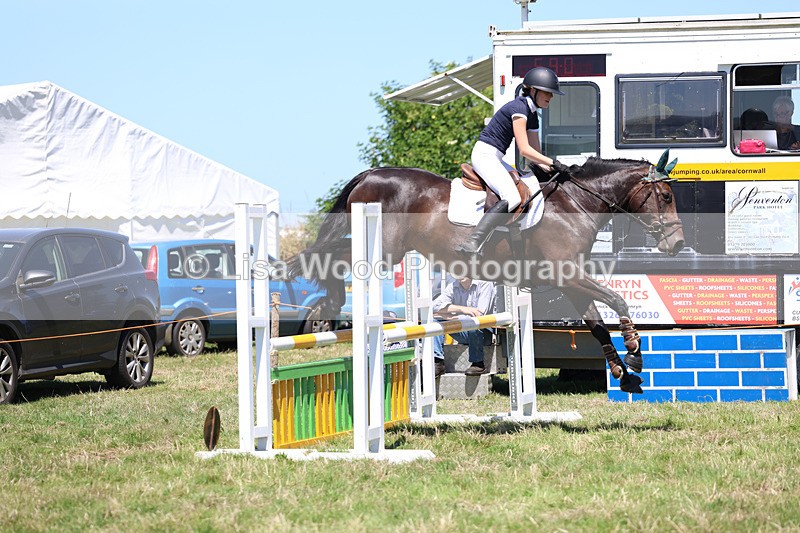 3E7A5540 - Class 9: Senior British Novice/90cm open