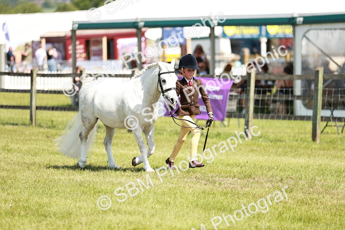 SBM_13576 - Class 108-109 - BSPS LIHS Open Gradle & Nursery Stakes