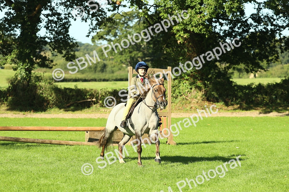 SBM_36446 - S29 - Novice & Newcomers Working Hunter Pony