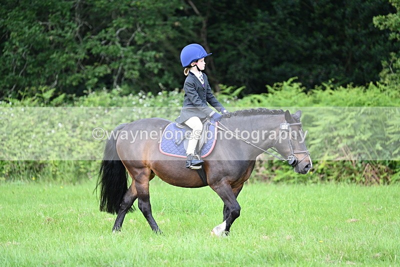 WJ7_1035 - Class 11 Condition & Turnout