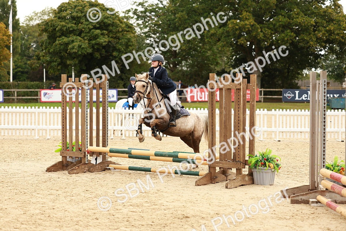 SBM_58003 - J11 - Junior Pony 50cm Championship