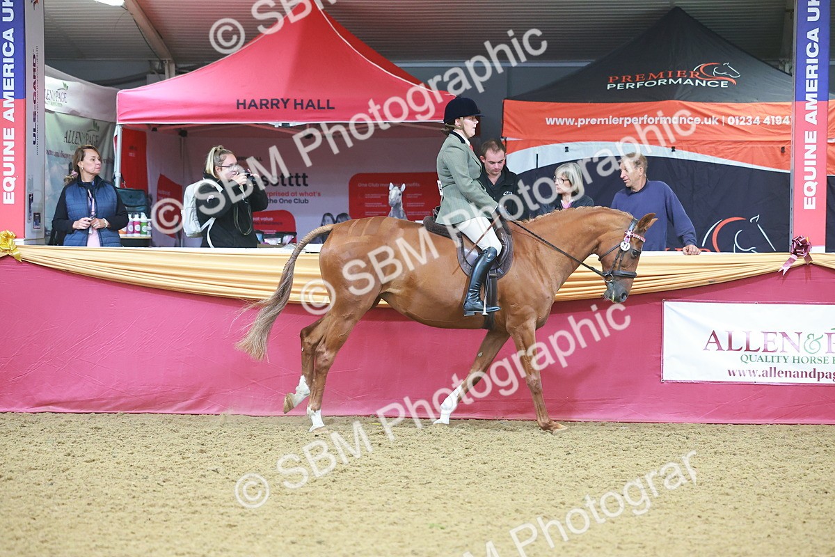 SBM_09639 - Class 102 - HOYS Veteran Qualifier - Ridden Veteran