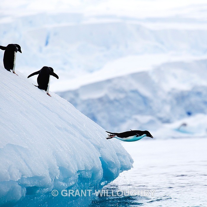 This is really sssslippeee - Antartica