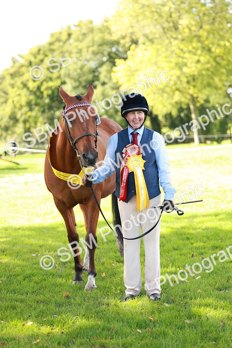 SBM_42217 - S32 - Mountain & Moorland Working Hunter Pony