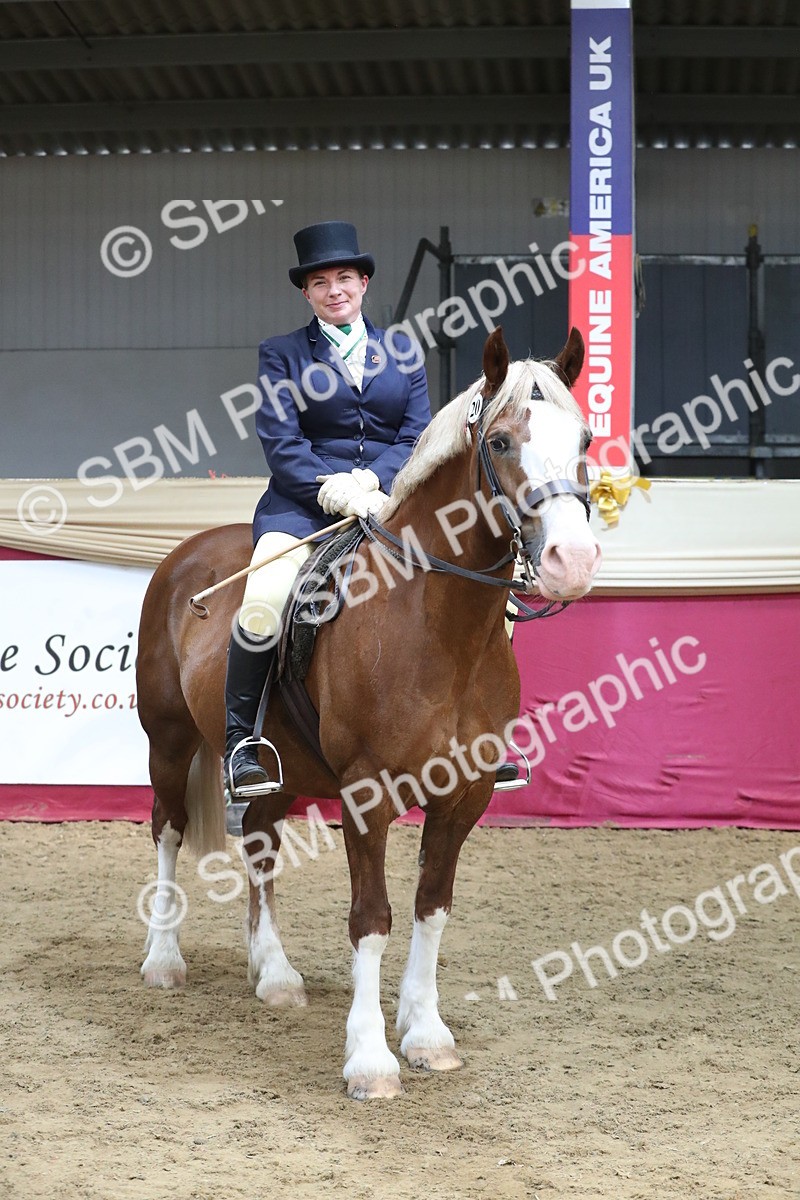 SBM_16496 - Class 502 M&M Ridden Supreme Final