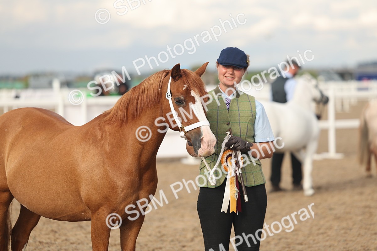 SBM_08594 - Class 29 - IH Veteran Pony