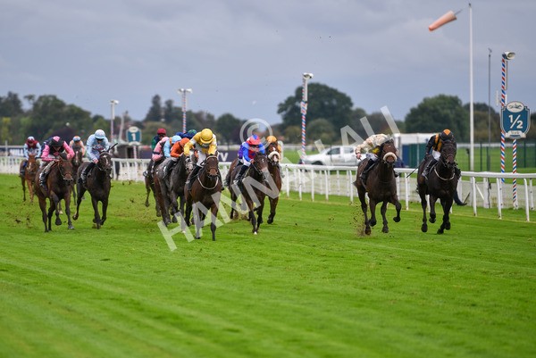 131023-Race 3-Apiarist-9406 - Race 3 3.15pm British EBF £100,000 Final