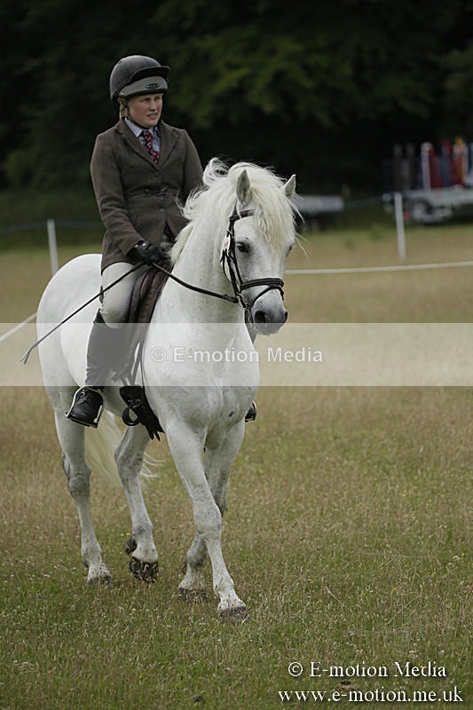B230619-0099 - Bourne Valley Riding Club Summer Show 23/06/19
