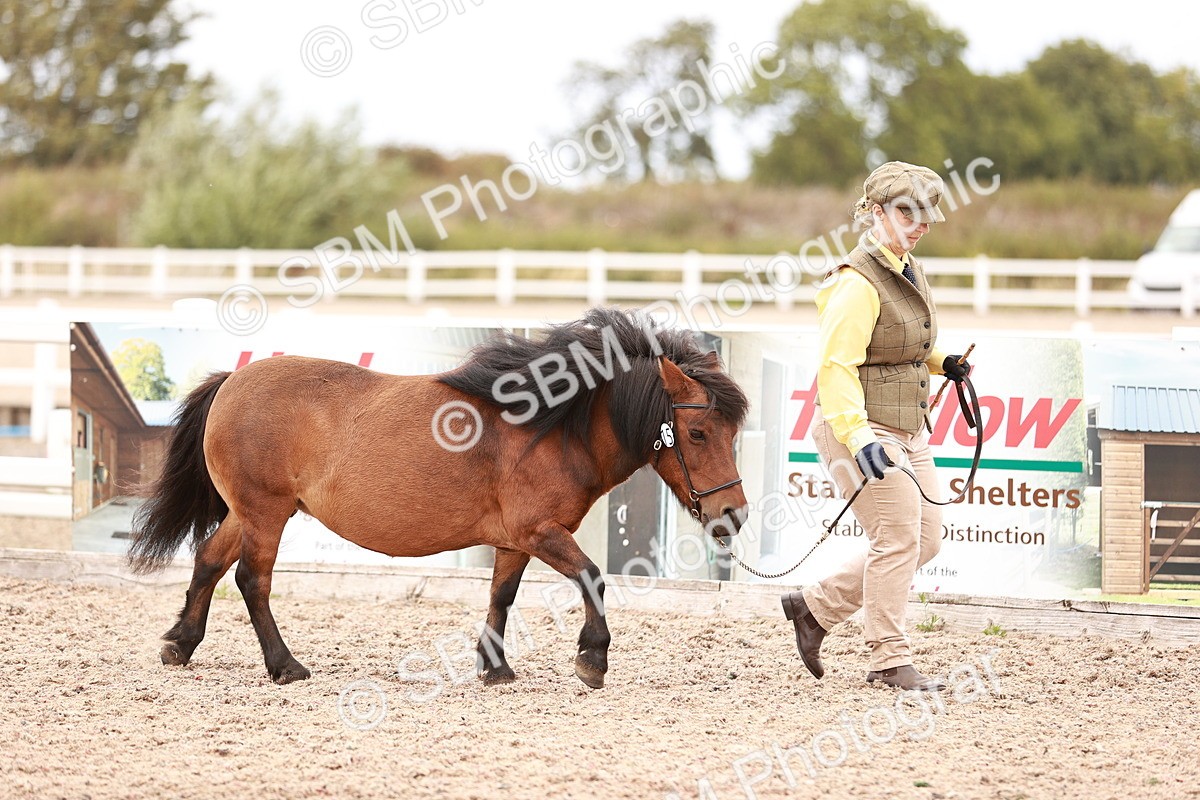 SBM_16886 - Class 415 - Horse-Pony Judge would most like to take home
