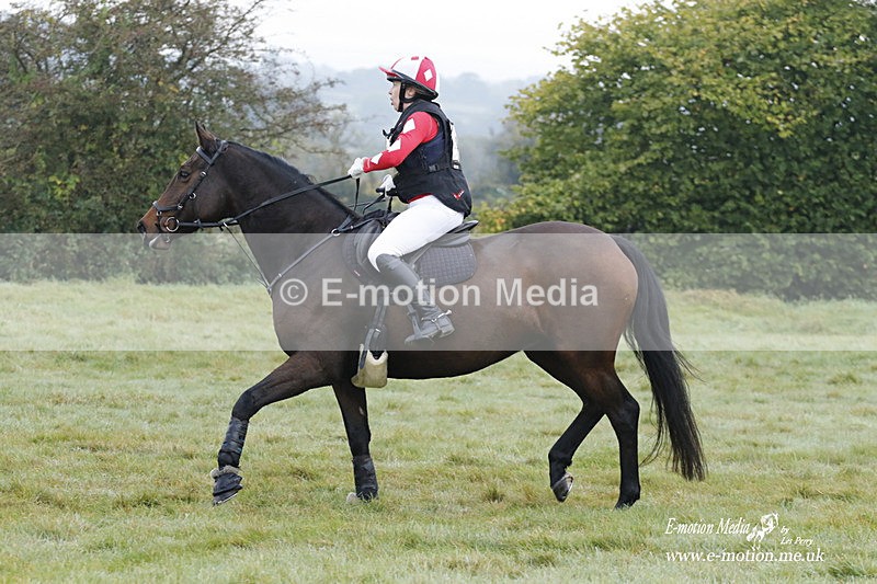 WWHT 171021 0434 - Novice Restricted (0.80m)  17/10/21