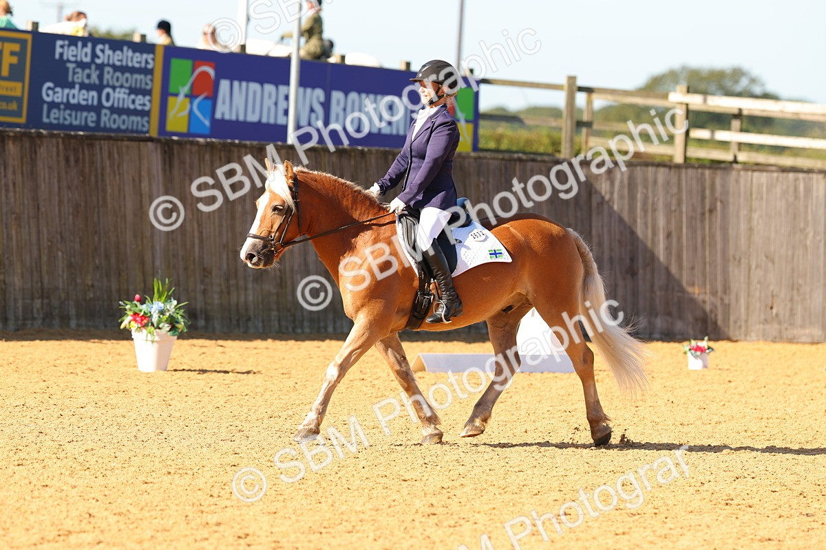 SBM_39920 - D18 - Grand Tour Championship - Novice 34