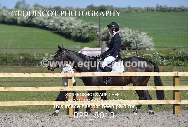 BPP_8013 - CLASS 2 Club/ Unaffiliated 80cms Open