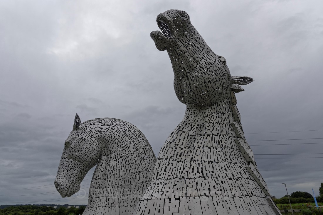 Falkirk Kelpies_0006 - Falkirk Kelpies