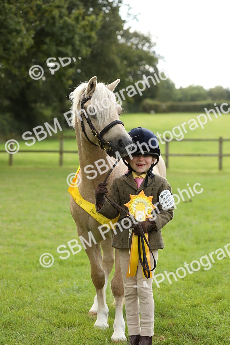 SBM_62852 - S46 - Mountain & Moorland In Hand Small Breeds