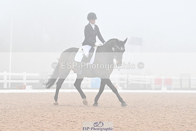 240217A-135319-03303 - 240-Moira.Bonner-Green.lanes.Elidor