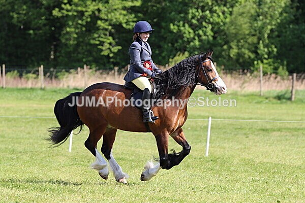 IMG_4937 - Working Hunter