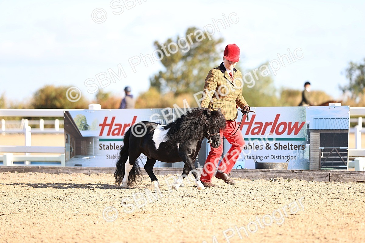 SBM_08407 - Class 402 - IH Veteran Pony