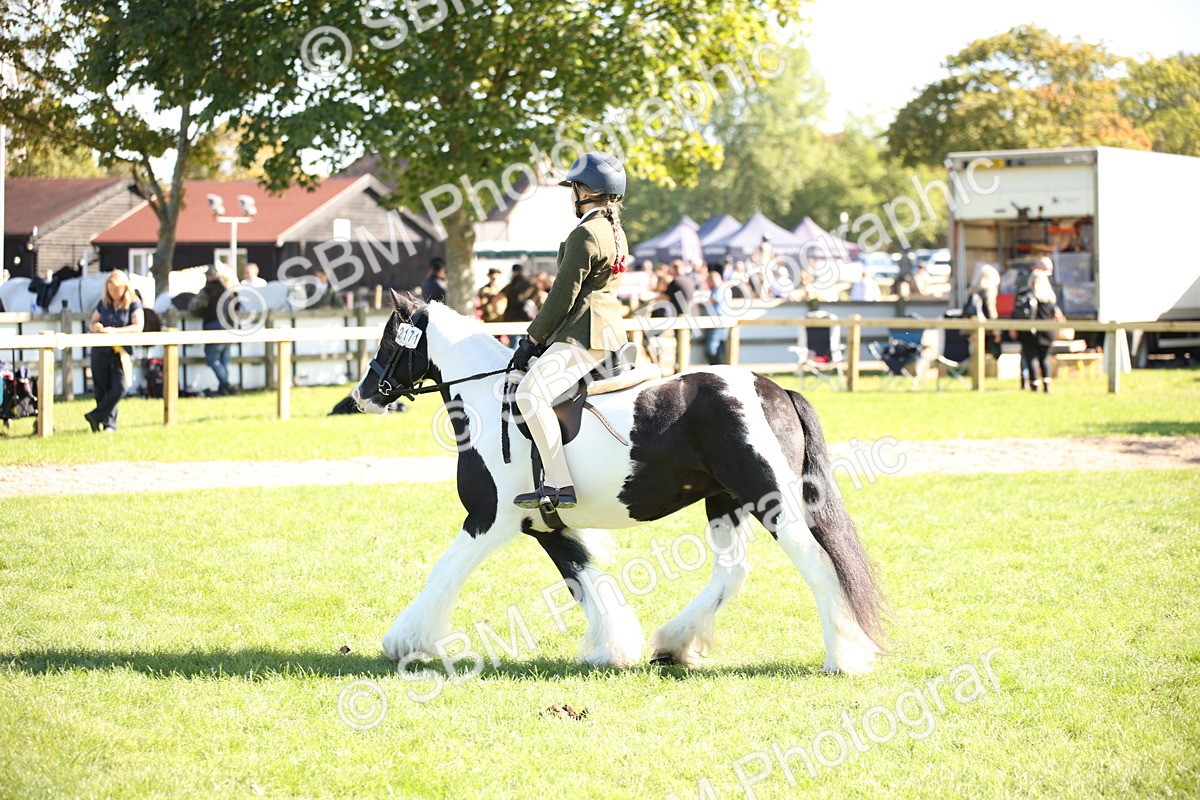 SBM_39037 - S11 - Best Ridden Horse & Pony