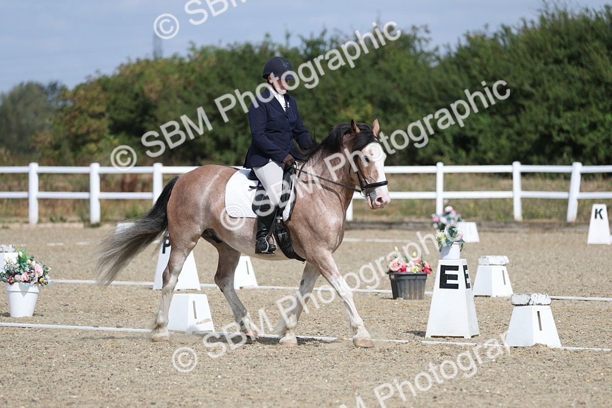 SBM_020924 - Class 21 - M5 Bronze 10.58.12.10