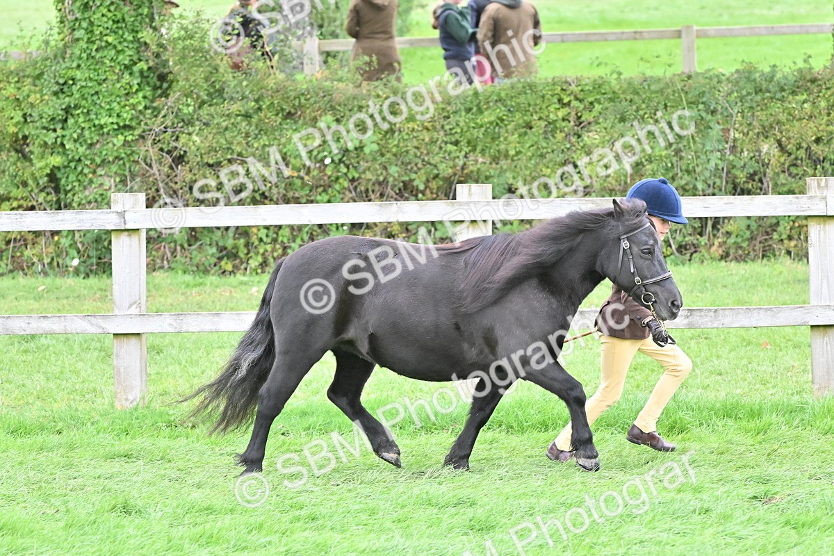 SBM_66798 - S41 - Junior Handler 8 Years & Under