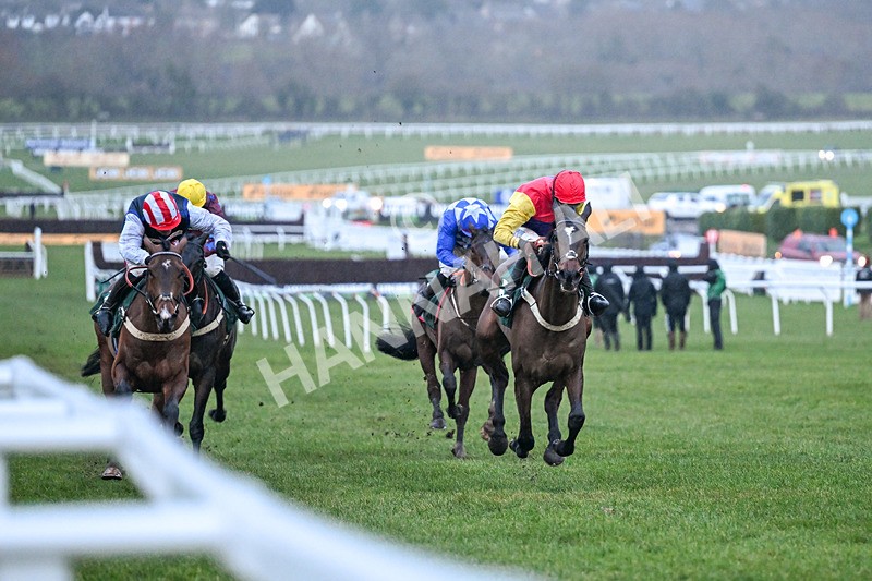 240126-Race 8-Kripticjim-7961 - Race 8