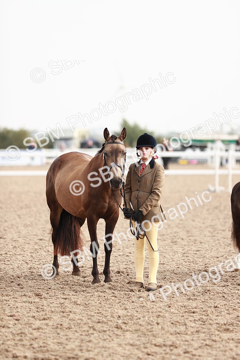 SBM_10564 - Class 204 Young Handler, 11-16 years