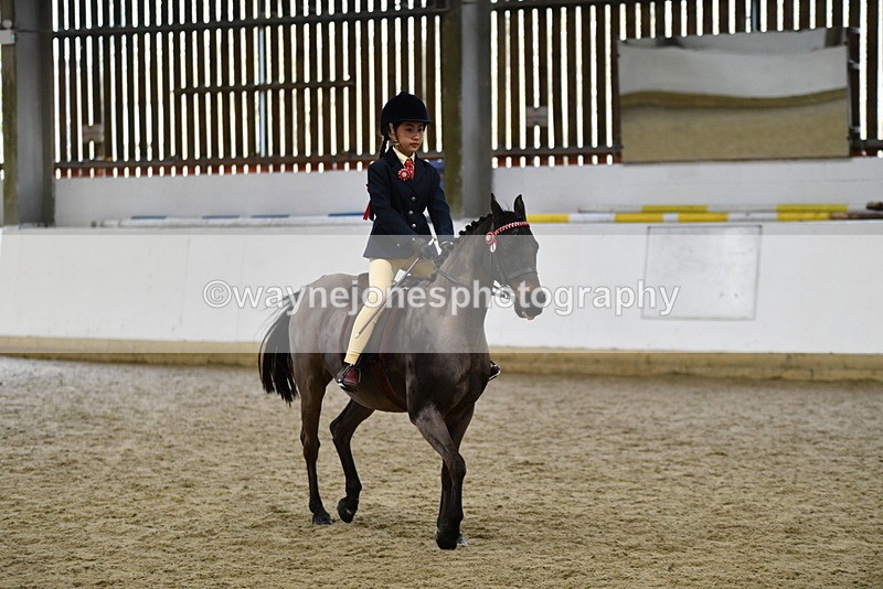 WJ5_6951 - Class 10 Childs Pony