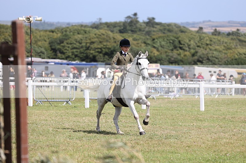 JPP_2114 - Class 19: Working Hunter 60cm