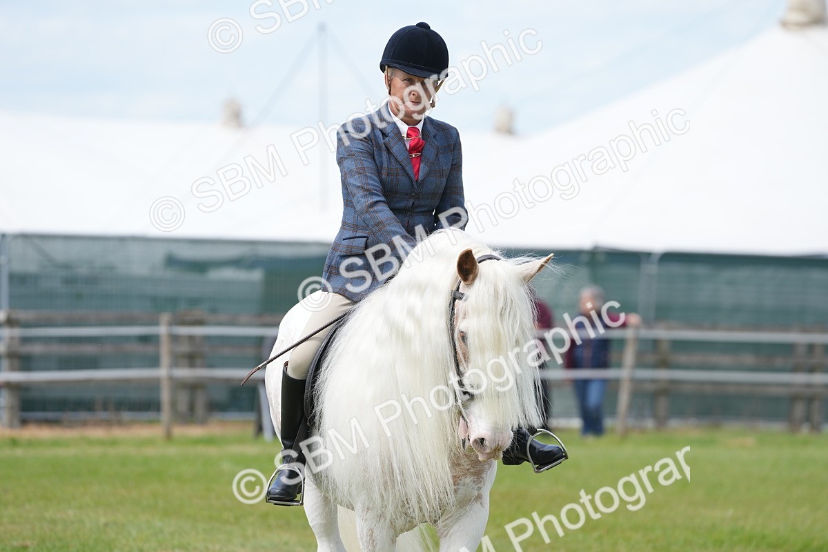 SBM_17190 - Class 107-108 - LIHS BSPS Performance Coloured Horse Pony