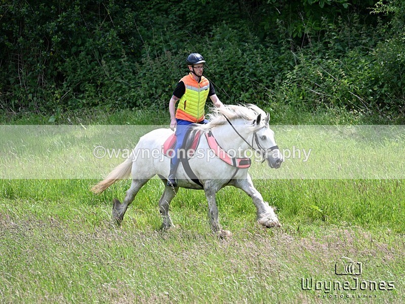 WJ7_8769 - Edited examples