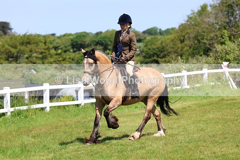 3E7A6761 - Working Hunter Pony Championship