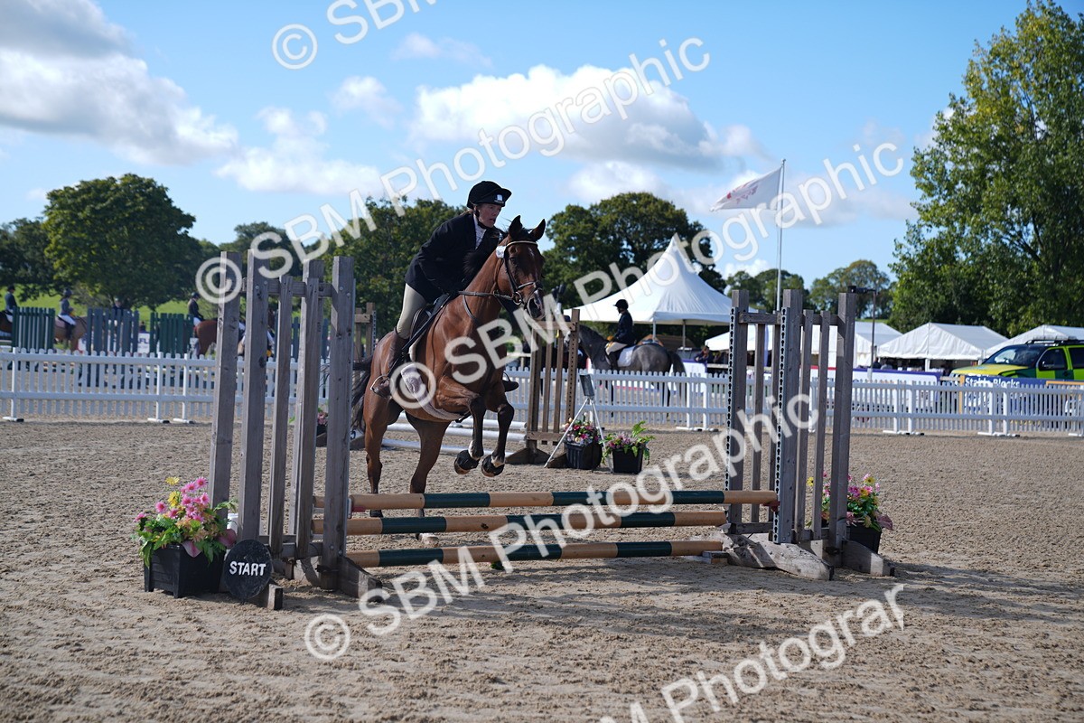 SBM_02351 - J54 Clear Round 45cm