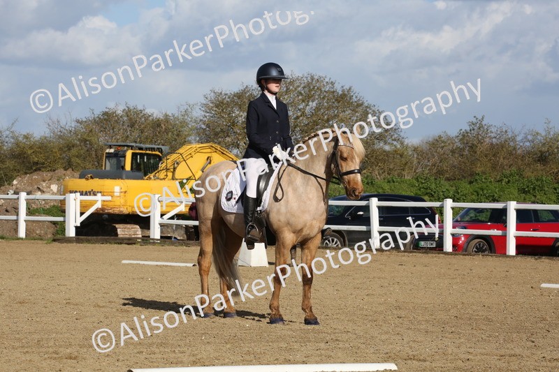 20260314-5183 - DR6 - Novice 2