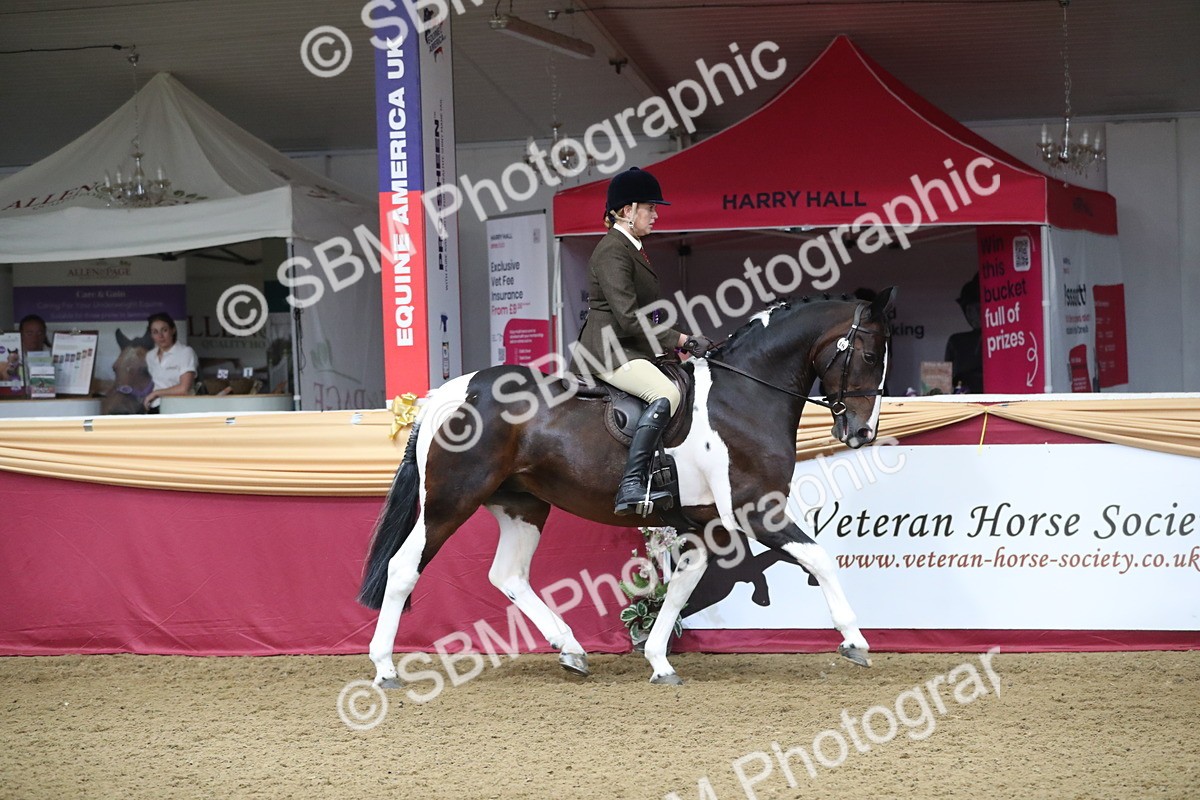 SBM_10485 - Class 102 Equitation (best rider) Adult